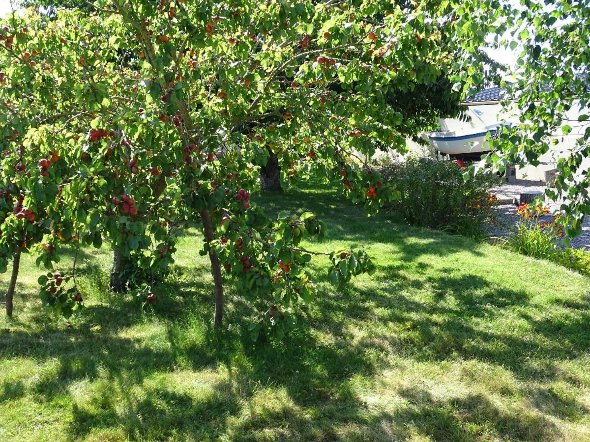 Le Cottage " Village De La Ruee " Location De Vacances Plurien Exterior foto